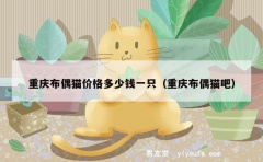 重庆布偶猫价格多少钱一只（重庆布偶猫吧）