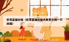 折耳蓝猫价格（折耳蓝猫价格大概多少钱一只幼猫）