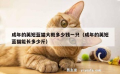 成年的英短蓝猫大概多少钱一只（成年的英短蓝猫能长多少斤）