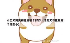 小型犬博美和比熊哪个好养（博美犬与比熊哪个体型小）