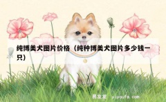 纯博美犬图片价格（纯种博美犬图片多少钱一只）