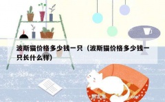 波斯猫价格多少钱一只（波斯猫价格多少钱一只长什么样）