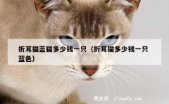 折耳猫蓝猫多少钱一只（折耳猫多少钱一只 蓝色）