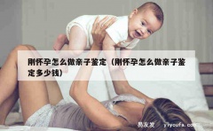 刚怀孕怎么做亲子鉴定（刚怀孕怎么做亲子鉴定多少钱）