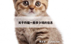 关于豹猫一般多少钱的信息