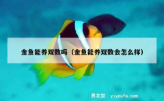 金鱼能养双数吗（金鱼能养双数会怎么样）