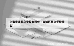 上海青浦私立学校有哪些（青浦区私立学校排名）