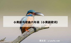 小黄鹂鸟歌曲六年级（小黄鹂歌词）