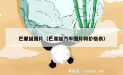 巴厘猫图片（巴厘猫汽车图片和价格表）