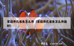 家庭养孔雀鱼怎么养（家庭养孔雀鱼怎么养最好）