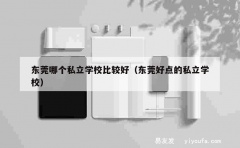 东莞哪个私立学校比较好（东莞好点的私立学校）