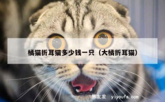 橘猫折耳猫多少钱一只（大橘折耳猫）