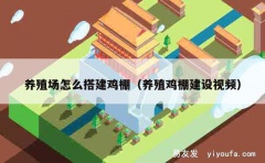 养殖场怎么搭建鸡棚（养殖鸡棚建设视频）