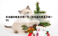 长毛猫价格多少钱一只（长毛猫大概多少钱一只）