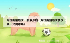 阿拉斯加幼犬一般多少钱（阿拉斯加幼犬多少钱一只狗市场）