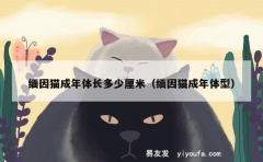 缅因猫成年体长多少厘米（缅因猫成年体型）