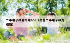 二手电子琴雅马哈650（出售二手电子琴九成新）