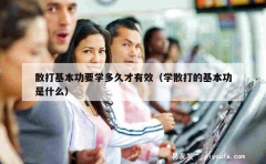 散打基本功要学多久才有效（学散打的基本功是什么）