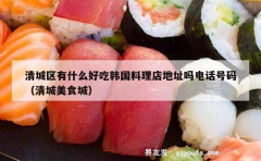 清城区有什么好吃韩国料理店地址吗电话号码（清城美食城）