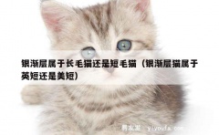 银渐层属于长毛猫还是短毛猫（银渐层猫属于英短还是美短）