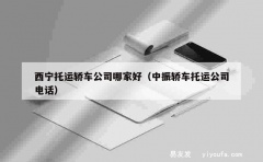 西宁托运轿车公司哪家好（中振轿车托运公司电话）