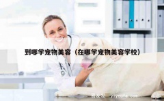 到哪学宠物美容（在哪学宠物美容学校）