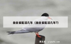 金丝雀能活几年（金丝雀能活几年?）