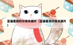 蓝猫童鞋的价格及图片（蓝猫童装价格及图片）