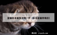 蓝猫长毛猫多少钱一只（长毛蓝猫市场价）