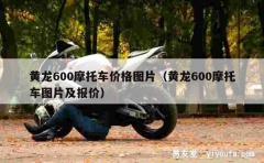 黄龙600摩托车价格图片（黄龙600摩托车图片及报价）