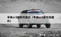 丰田sr5越野车报价（丰田sr5报价及图片）