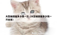 大型缅因猫多少钱一只（大型缅因猫多少钱一只幼崽）