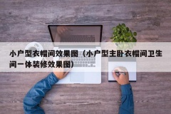 小户型衣帽间效果图（小户型主卧衣帽间卫生间一体装修效果图）