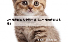 3个月虎斑猫多少钱一只（三个月的虎斑猫多重）