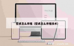 壁虎怎么养殖（壁虎怎么养殖技术）