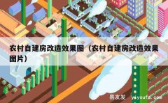 农村自建房改造效果图（农村自建房改造效果图片）