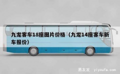 九龙客车18座图片价格（九龙14座客车新车报价）