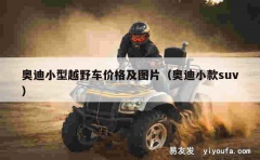 奥迪小型越野车价格及图片（奥迪小款suv）