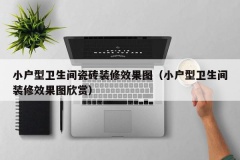 小户型卫生间瓷砖装修效果图（小户型卫生间装修效果图欣赏）