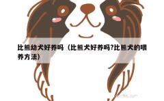 比熊幼犬好养吗（比熊犬好养吗?比熊犬的喂养方法）