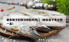 鲍鱼粽子的做法和配料窍门（鲍鱼粽子多少钱一盒）