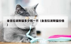 金吉拉波斯猫多少钱一只（金吉拉波斯猫价格）