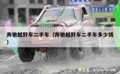 奔驰越野车二手车（奔驰越野车二手车多少钱）