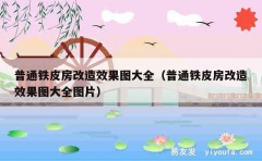 普通铁皮房改造效果图大全（普通铁皮房改造效果图大全图片）