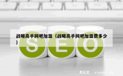 战略高手网吧加盟（战略高手网吧加盟费多少）