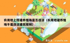 农用地上搭建养殖场是否违法（农用地建养殖场不是违法建筑视频）