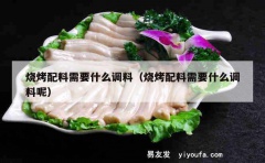 烧烤配料需要什么调料（烧烤配料需要什么调料呢）