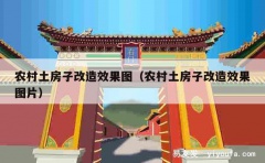 农村土房子改造效果图（农村土房子改造效果图片）