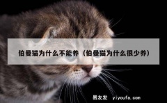 伯曼猫为什么不能养（伯曼猫为什么很少养）