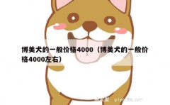 博美犬的一般价格4000（博美犬的一般价格4000左右）